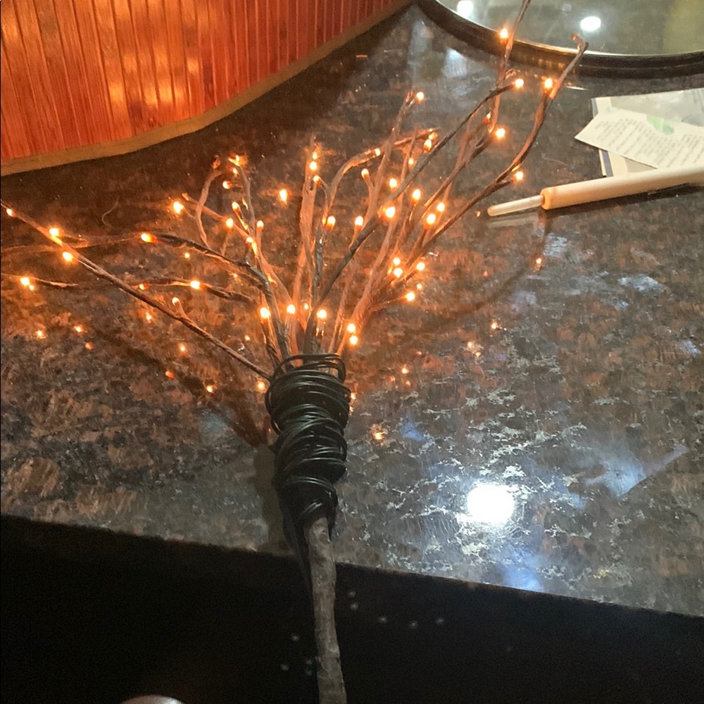 Warm LED Lighted Branches